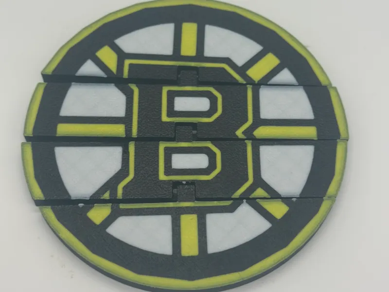 Bruins flexi