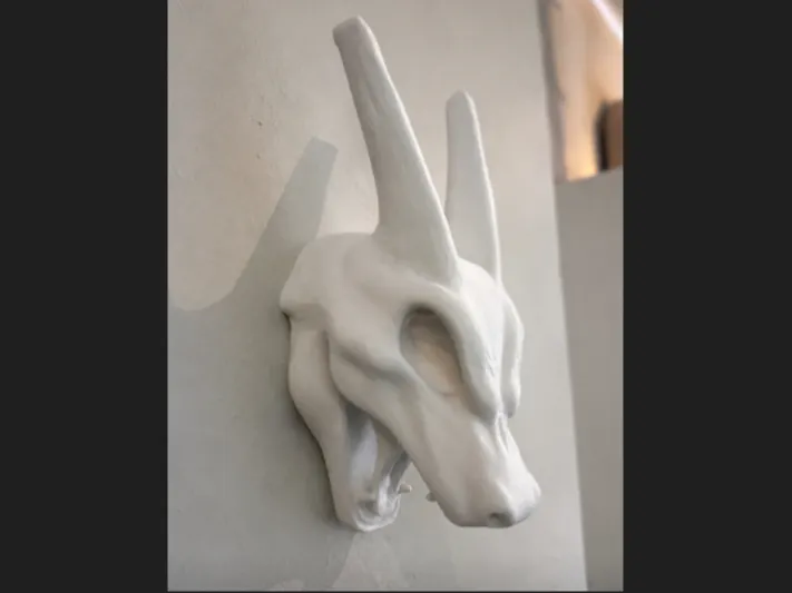 Charizard skull wall mounting