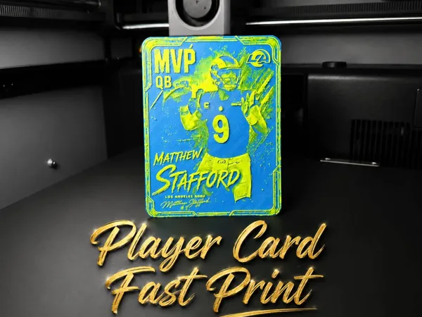 https://makerworld.bblmw.com/makerworld/model/US389575cb12e5fd/design/2308fe36319cb29e.jpeg