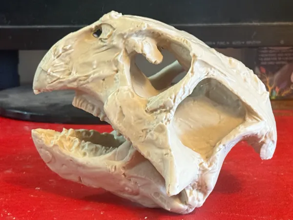 https://makerworld.bblmw.com/makerworld/model/US38977db06a32d3/design/2025-12-31_0724a83102adb8.jpg