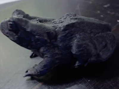 Fowlers toad.