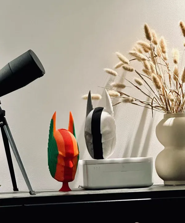 https://makerworld.bblmw.com/makerworld/model/US38a08d883cf23f/design/2024-04-03_05384a988b691.jpg