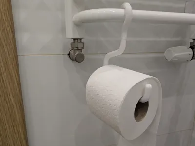 Toilet paper holder hanger