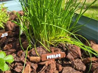 Herb garden labels (Customizable)