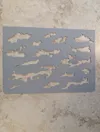 PETG, 2 plates, large size