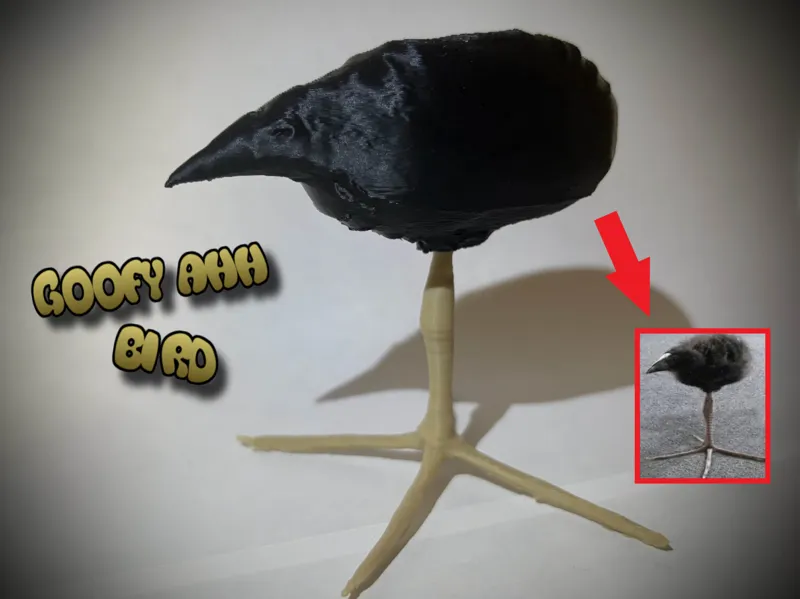 One Leg Bird Meme