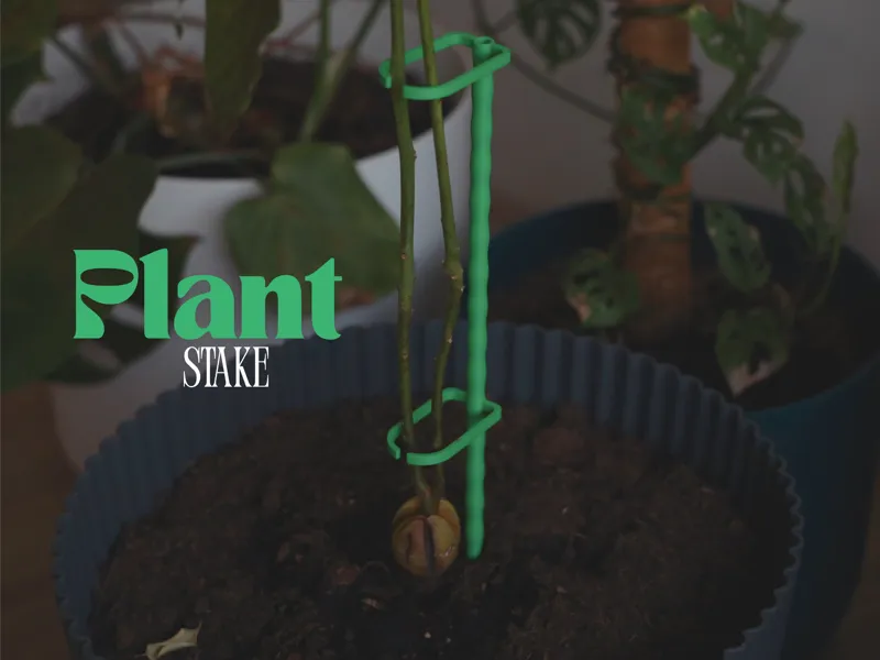 Wavy Plant Support for Seedlings