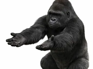 Gorilla Butler