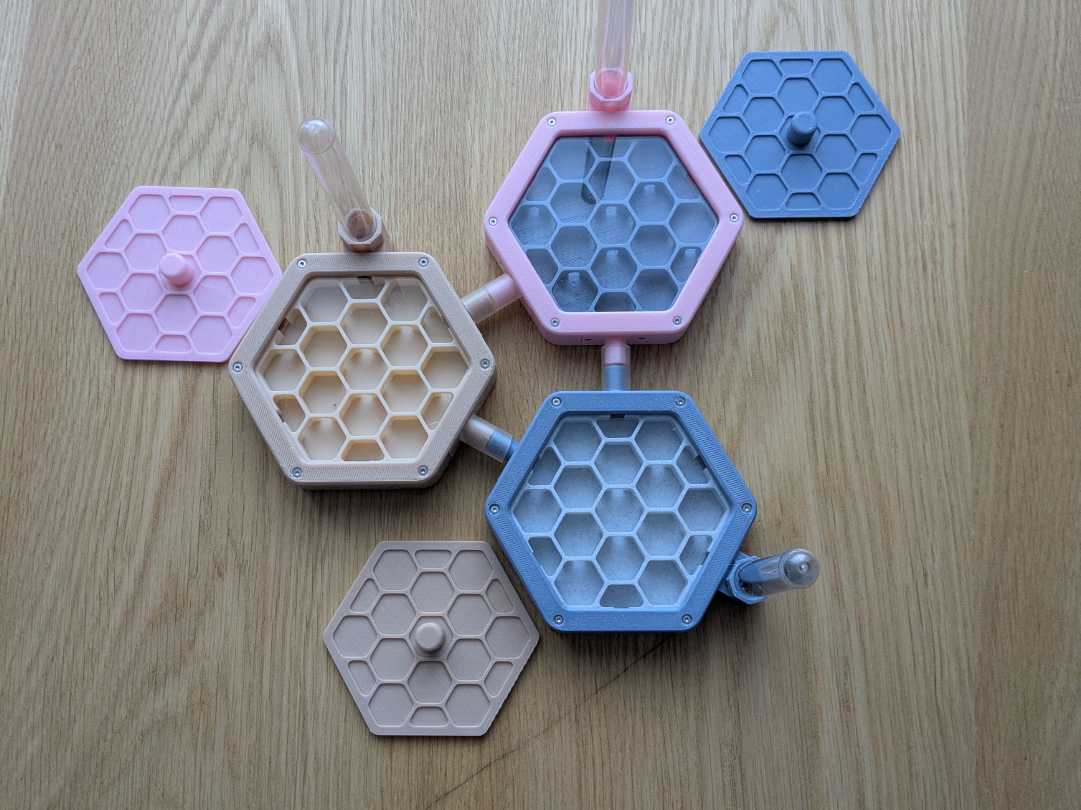 HexAnt Modular Honeycomb Formicarium Nest Ant Farm