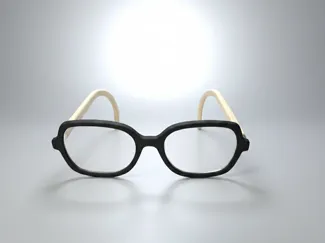 Eyeglasses frame