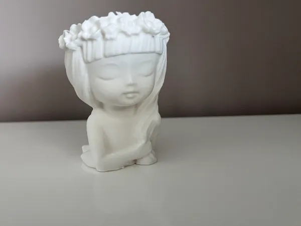 https://makerworld.bblmw.com/makerworld/model/US38b78a53e2a104/design/2024-05-19_7ceaef2afb144.jpg