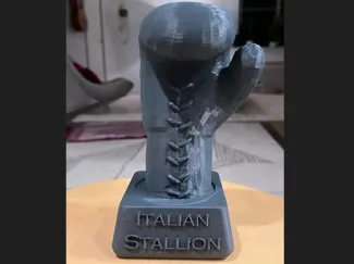 Boxing Trophy + Text "Italian Stallion"