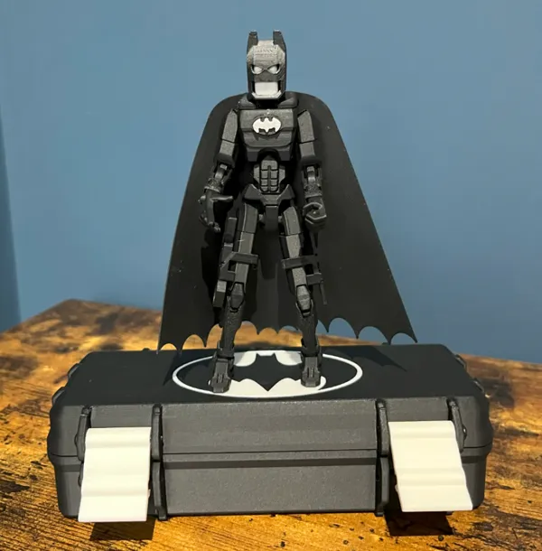 https://makerworld.bblmw.com/makerworld/model/US38ba97a2c7283b/design/2024-10-16_b01fe58767895.png