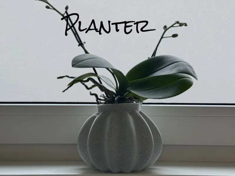 Vase mode Planter