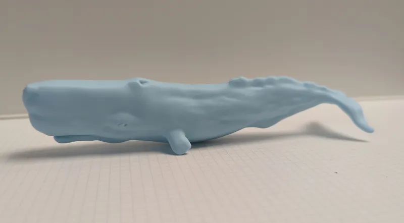 Sperm Whale