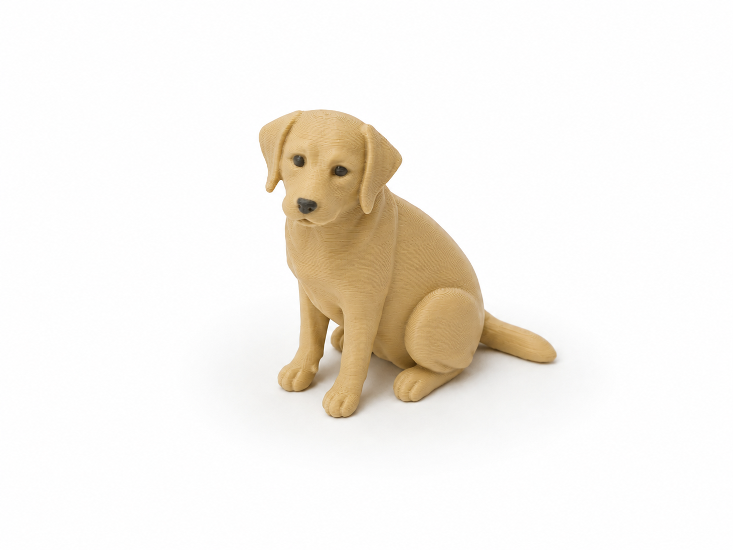 Miniatura 1 do modelo 3D Tiny Labrador - Mini Animals Series