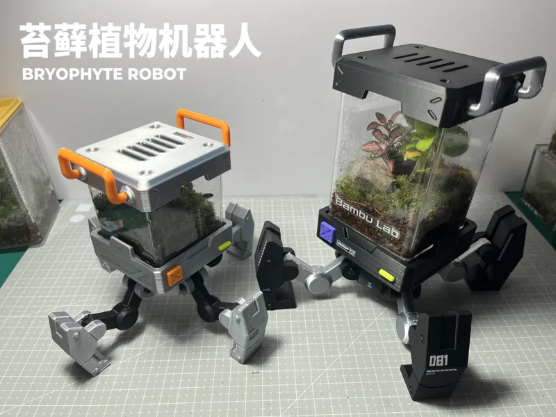 苔藓植物机器人 盆栽装饰