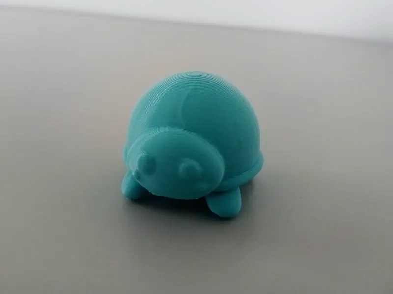Cute Tinny Turtle