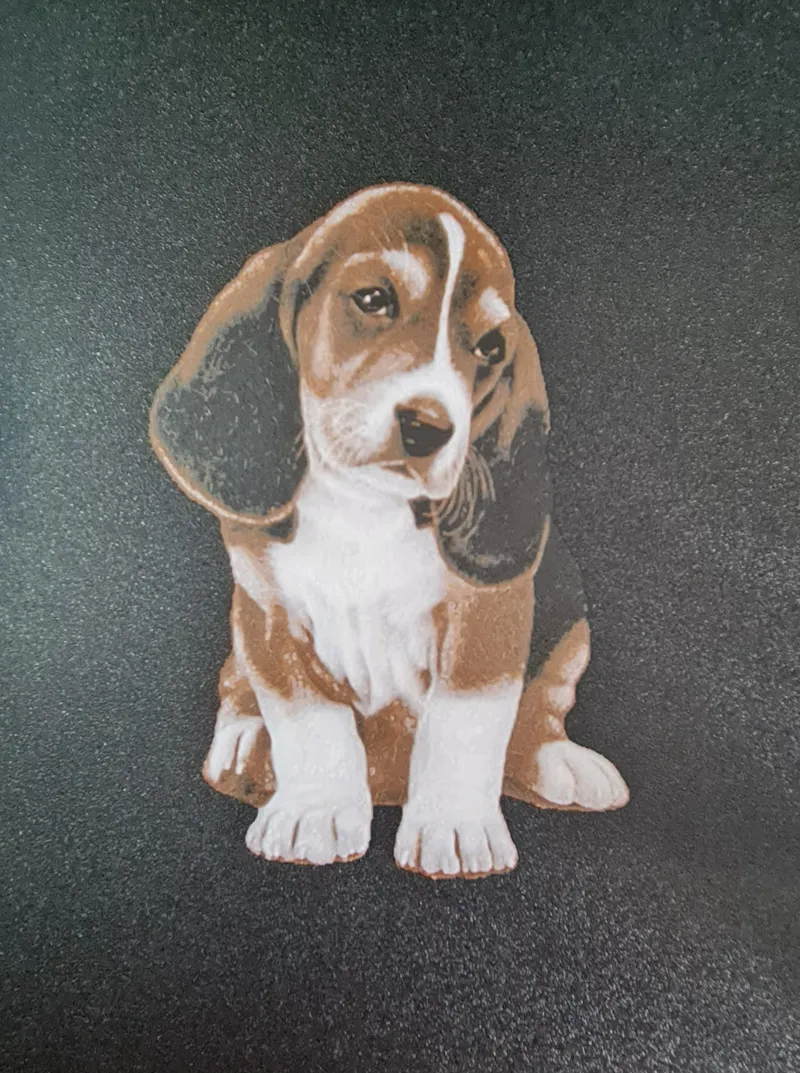 Beagle dog HueForge