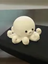 Octopus - Multi-color
