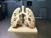 0.2mm layer, 2 walls, 3% infill