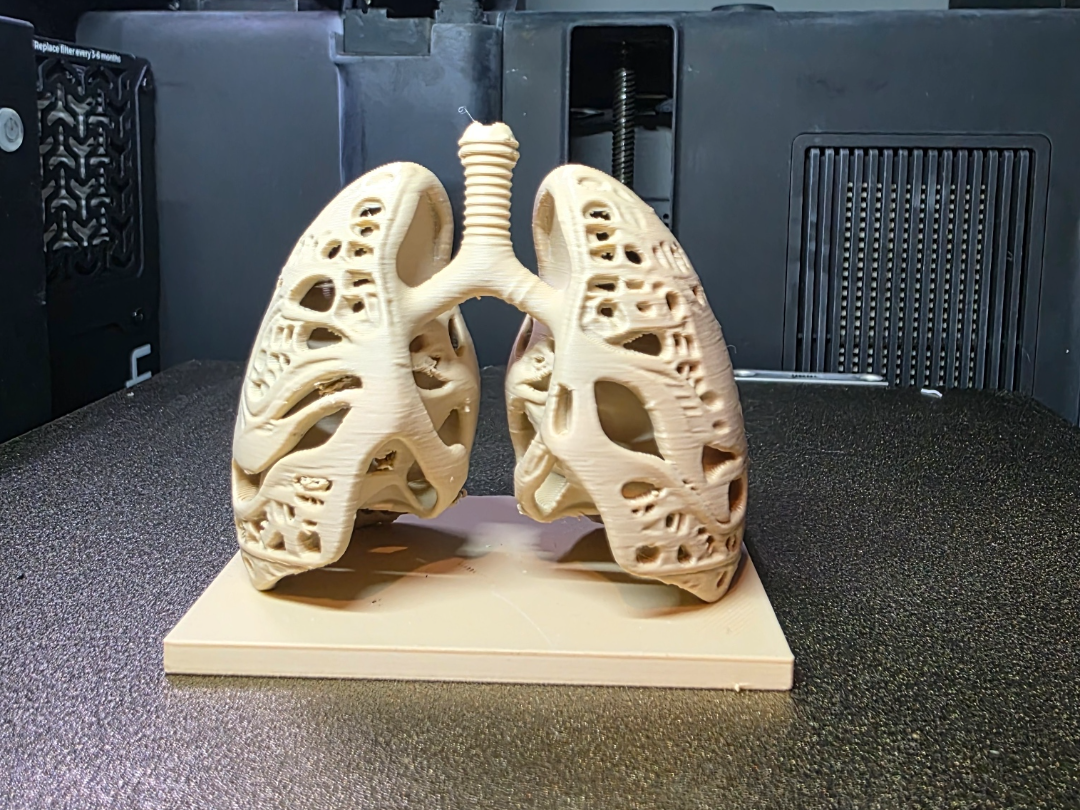 Future Lungs: Now With Extra Holes