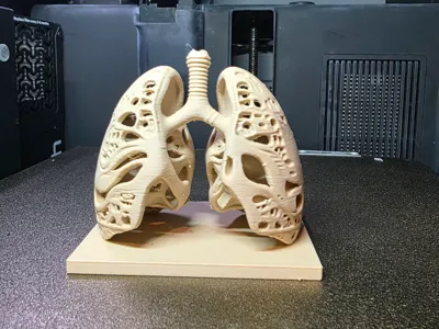 Future Lungs: Now With Extra Holes