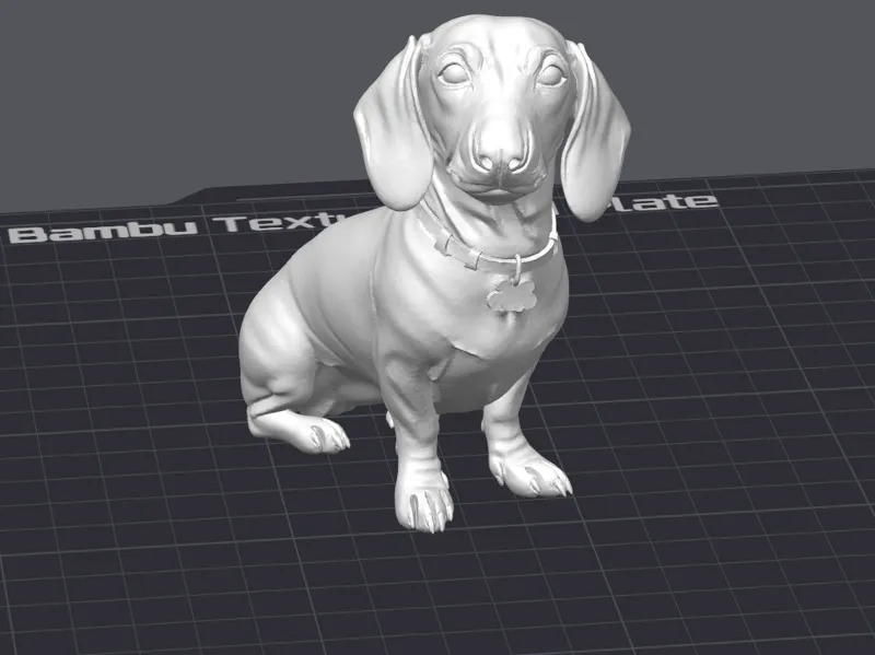 Bassotto Realistico con Collare | Cute Dog STL