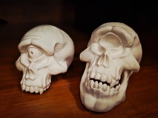 https://makerworld.bblmw.com/makerworld/model/US38d04bf75a0efa/design/2025-04-05_50c58ec8bb43f.jpg