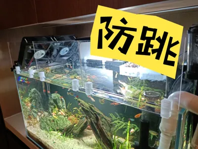 Fish Tank Anti-Jump Acrylic Plate Bracket, Simple and Practical Anti-Escape