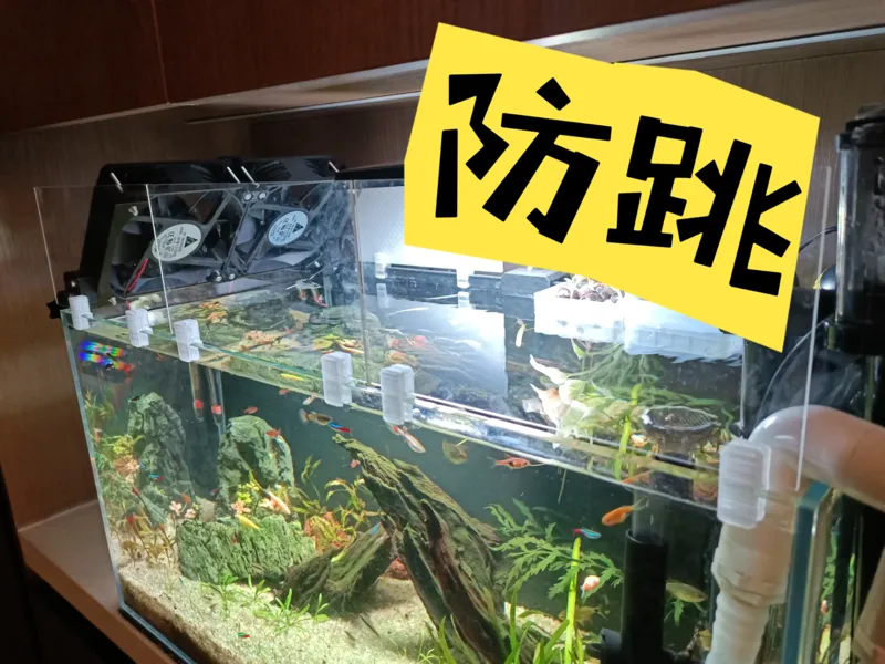 鱼缸防跳缸亚克力板支架 简易实用防越狱