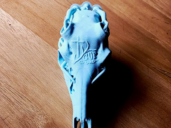https://makerworld.bblmw.com/makerworld/model/US38d302bcbc8691/design/4c639182f215ec4a.jpg