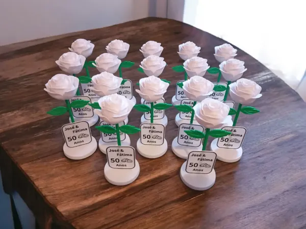 https://makerworld.bblmw.com/makerworld/model/US38d551552e5e7f/design/91a036e8e60d599f.jpeg