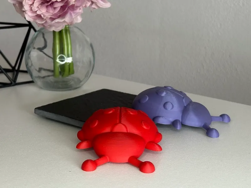 Ladybug magnet