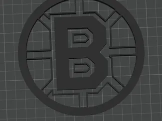 boston bruins