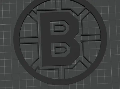 boston bruins