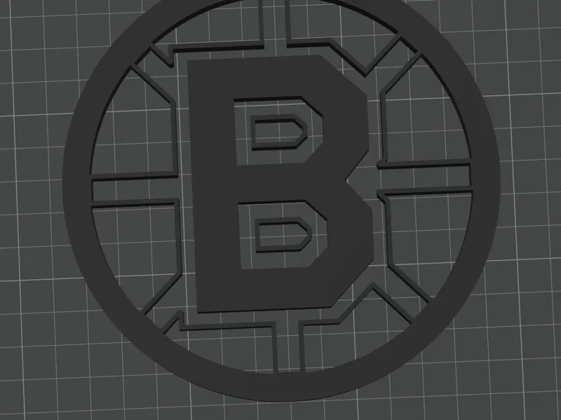 boston bruins