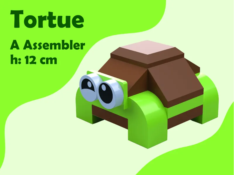 Tortue