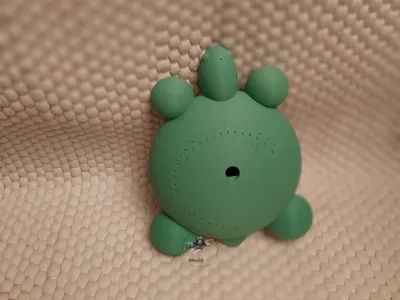 Sprout Buddy Turtle