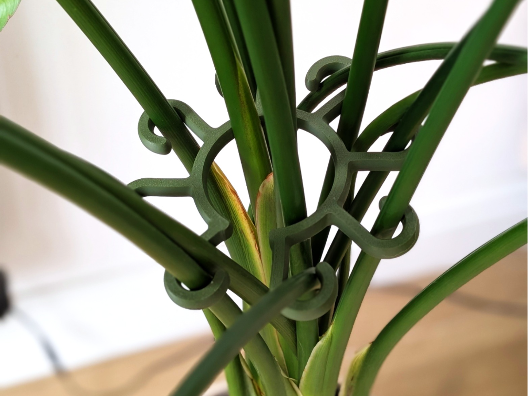 Minimalist plant stem support