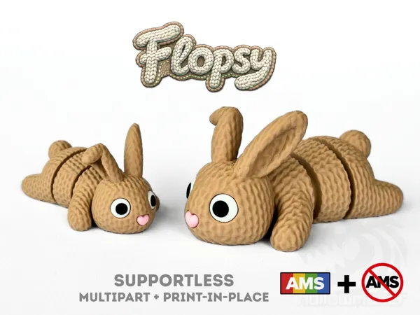 https://makerworld.bblmw.com/makerworld/model/US38eac514b13ff8/design/5e33d404a92ef8ad.png