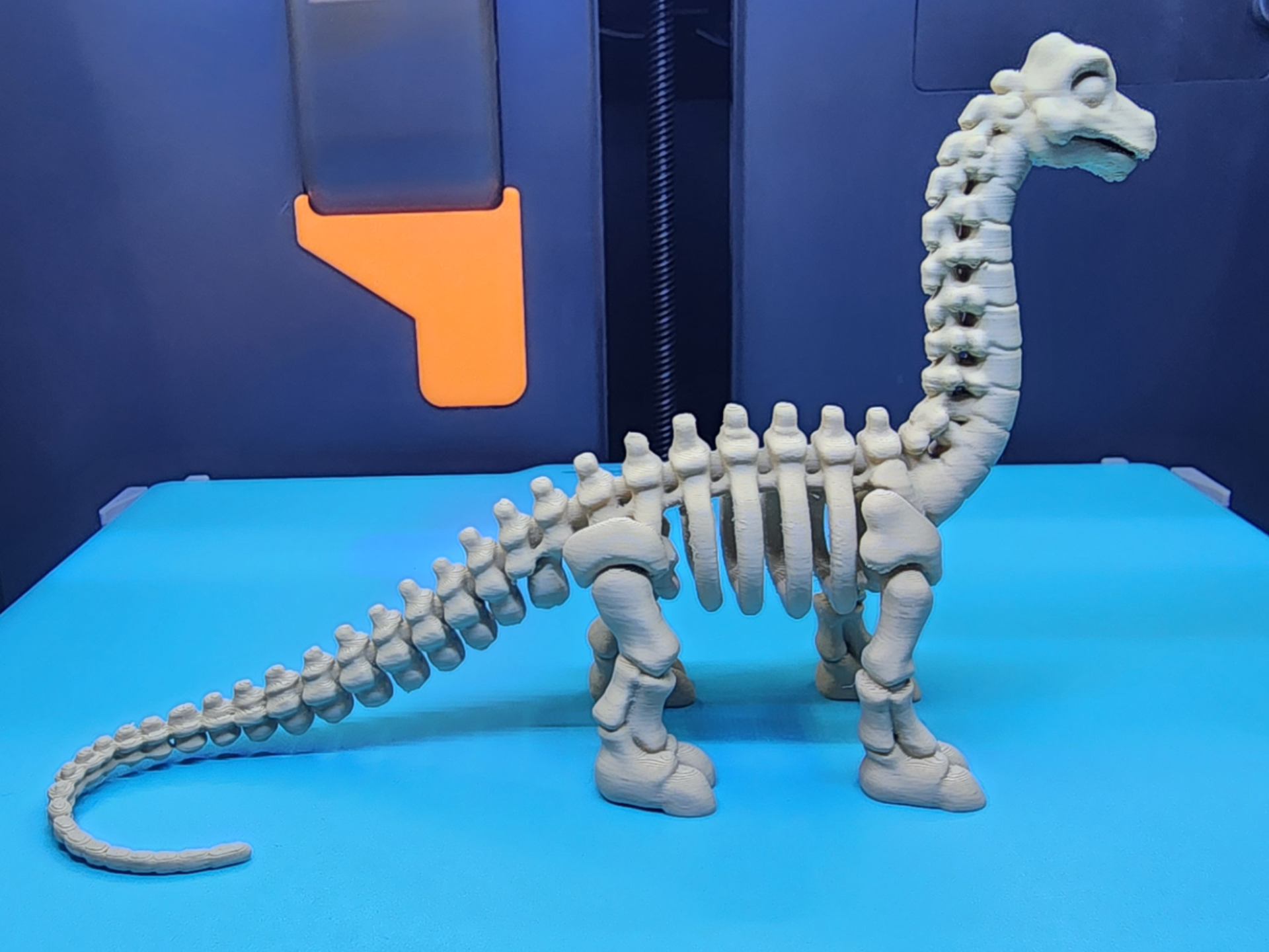Brontosaurus