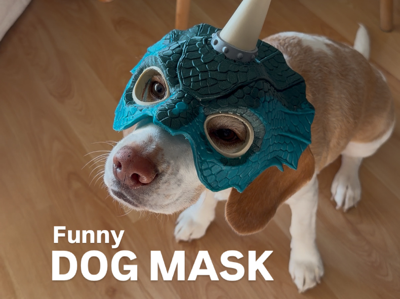 Funny dog mask 