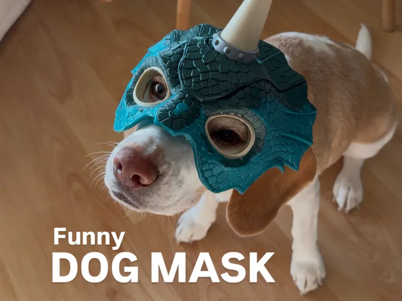 Funny dog mask 