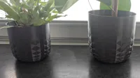 A1 Mini Max Volume (0.8mm Nozzle) with great fuzzy Skin