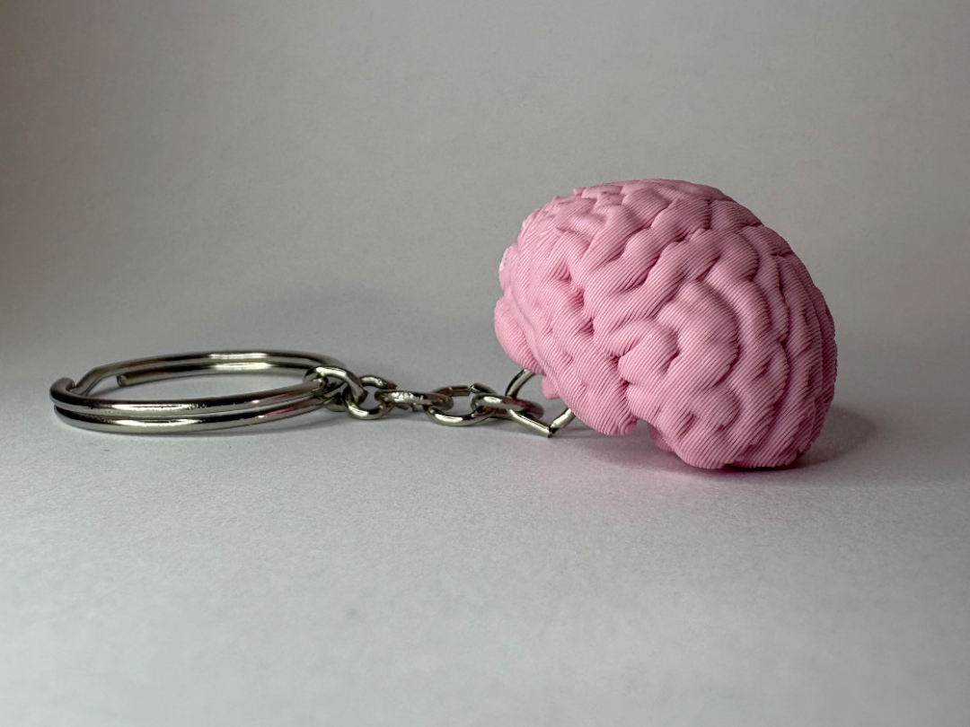 Cerebro de llavero
