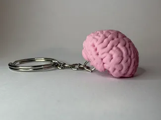 Cerebro de llavero