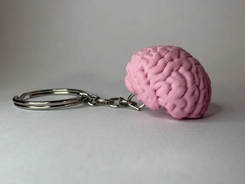 Cerebro de llavero