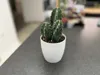 0.2mm layer, 2 walls, 15% infill - 150mm height