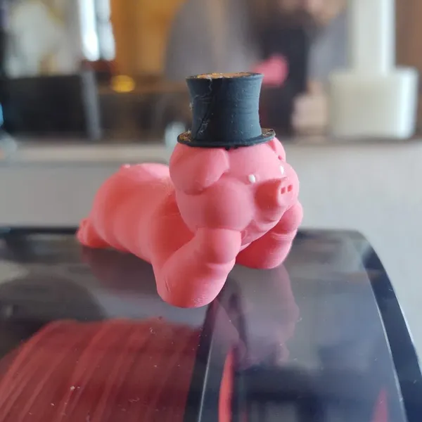 https://makerworld.bblmw.com/makerworld/model/US38fb7f70fbe0a0/design/2024-02-13_8df3cdb799786.webp